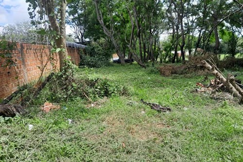 Terreno-Venta-Sauce c/ Herrera, Cerrito, Capiatá, Central, foto 5