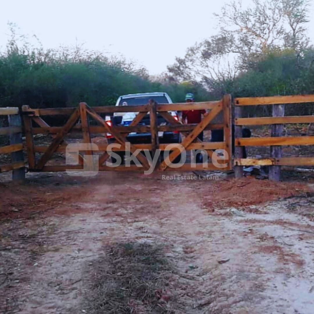 PROPIEDAD EN EL CHACO Dpto. de Alto Paraguay, zona Tte. Martínez — foto 4