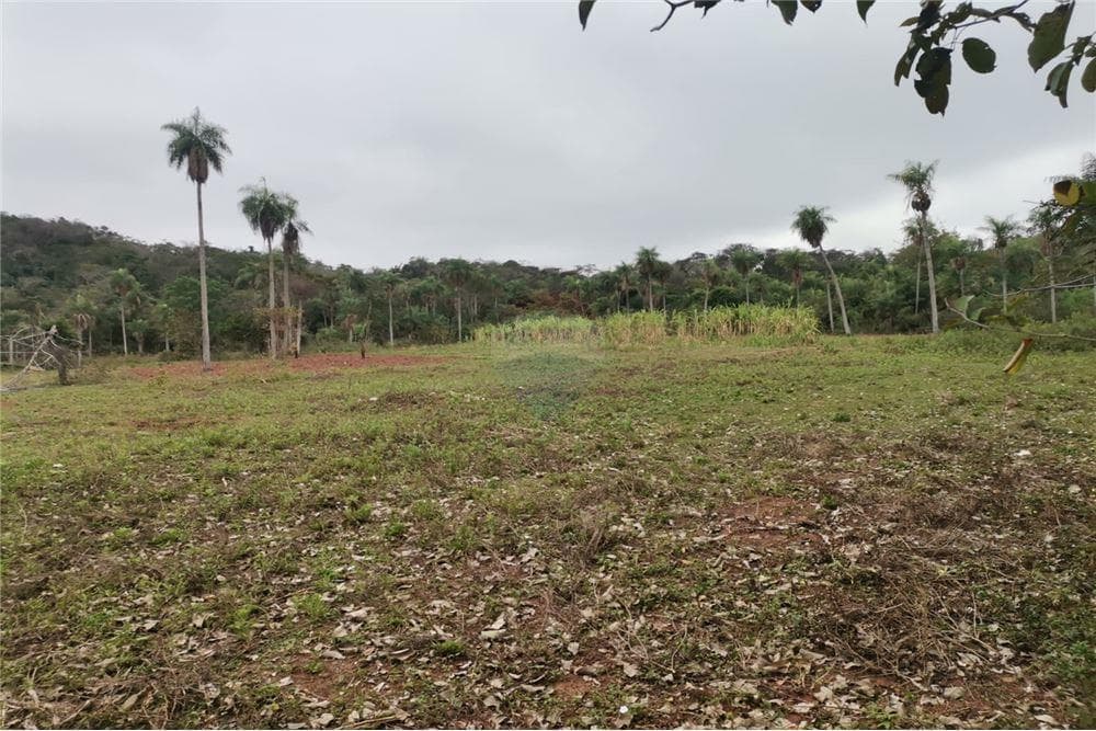 Terreno de 4 Hectáreas en oferta, foto 5