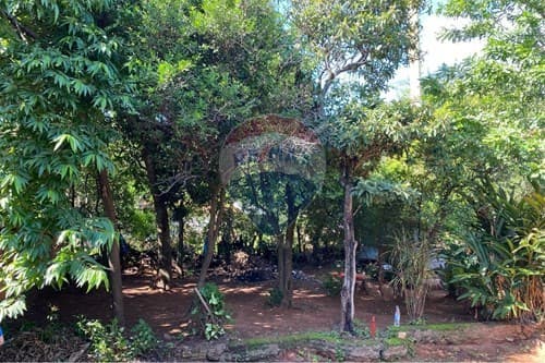 Terreno en San Lorenzo: ¡Construye Tu Hogar Ideal!, foto 4