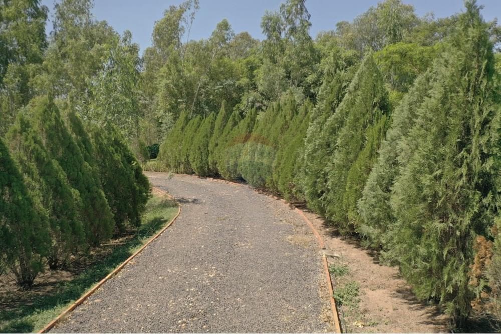 De Hermosa Casa Quinta En Pirayu, foto 4