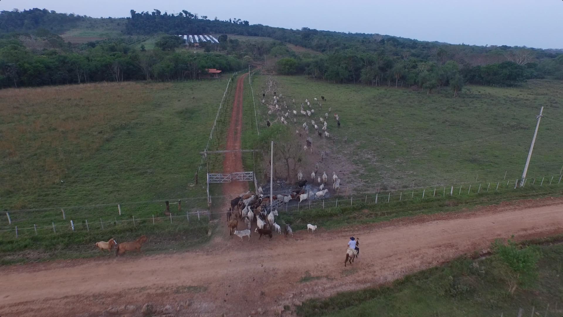 111 Hectareas sobre rio Piribebuy Arroyos y esteros - (USD 5.600 X Ha), foto 4
