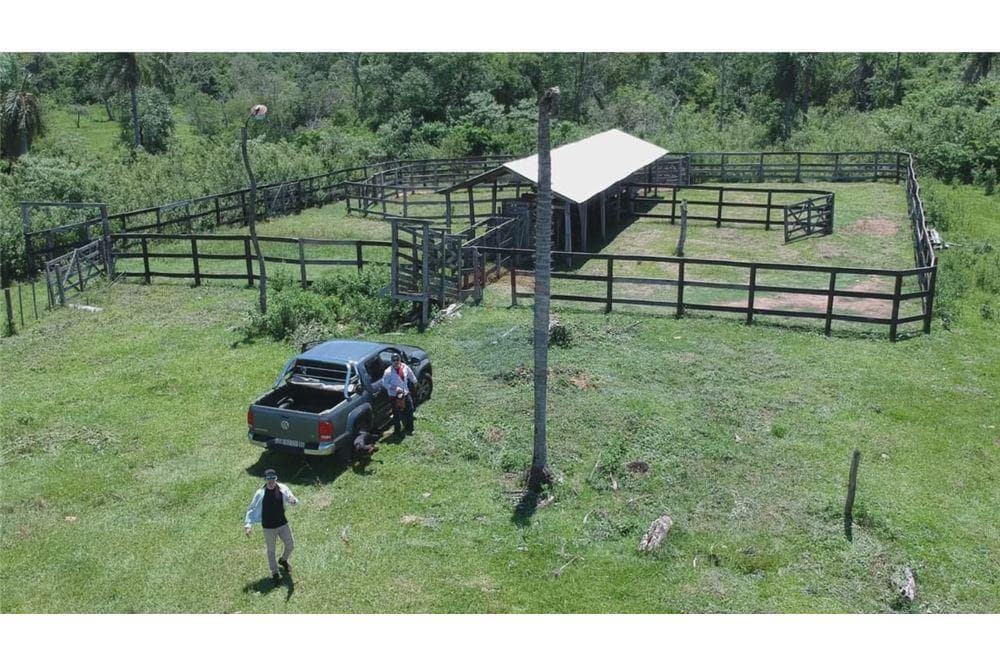 Campo - estancia en paraguari-mbuyapey, foto 3