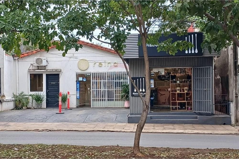 Terreno sobre av. San martin, foto 3