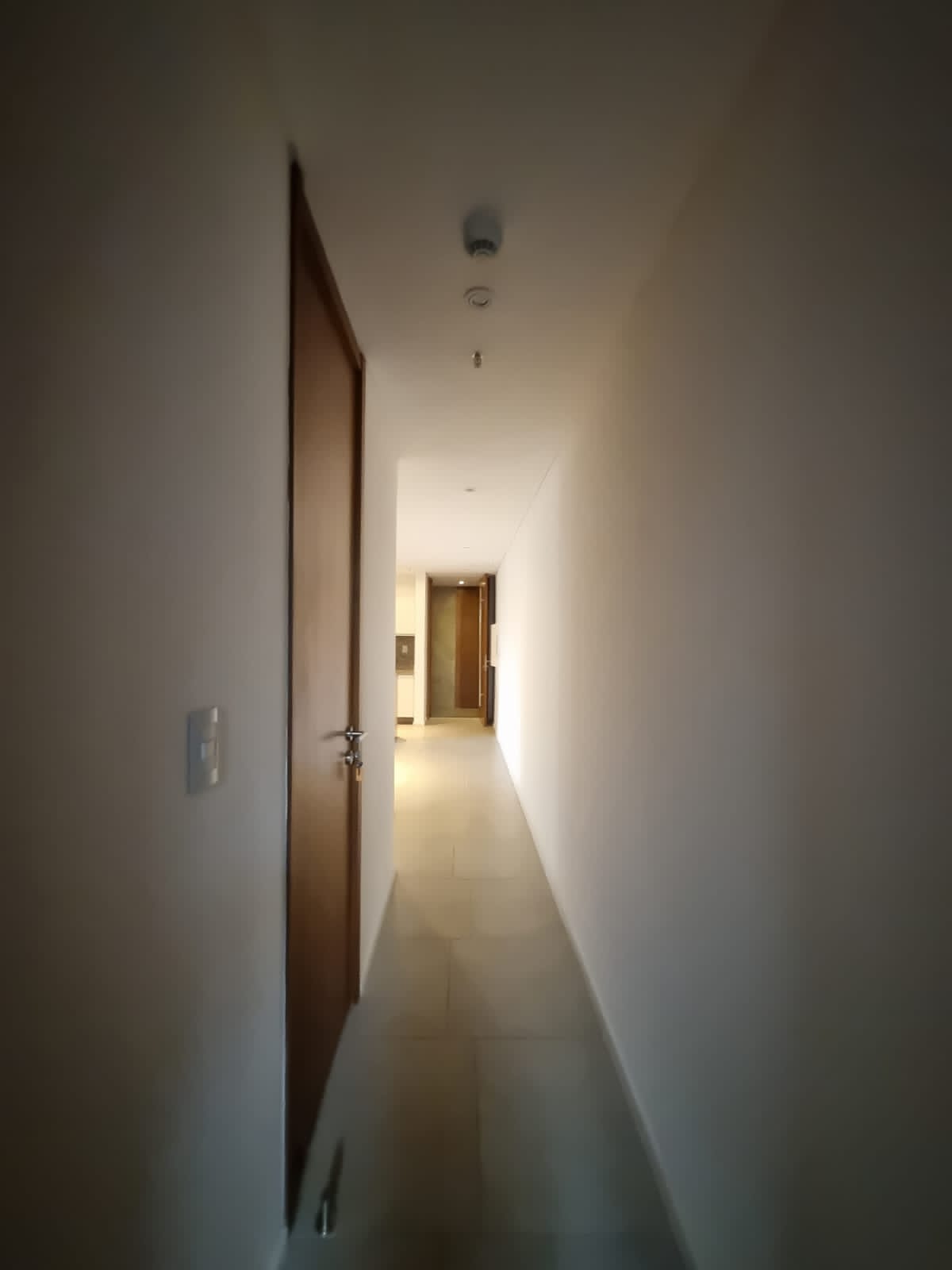 Departamento en Edificio Bernardino, foto 5