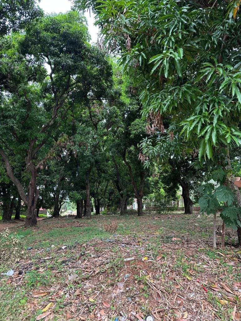 Terreno en Ñemby, foto 2