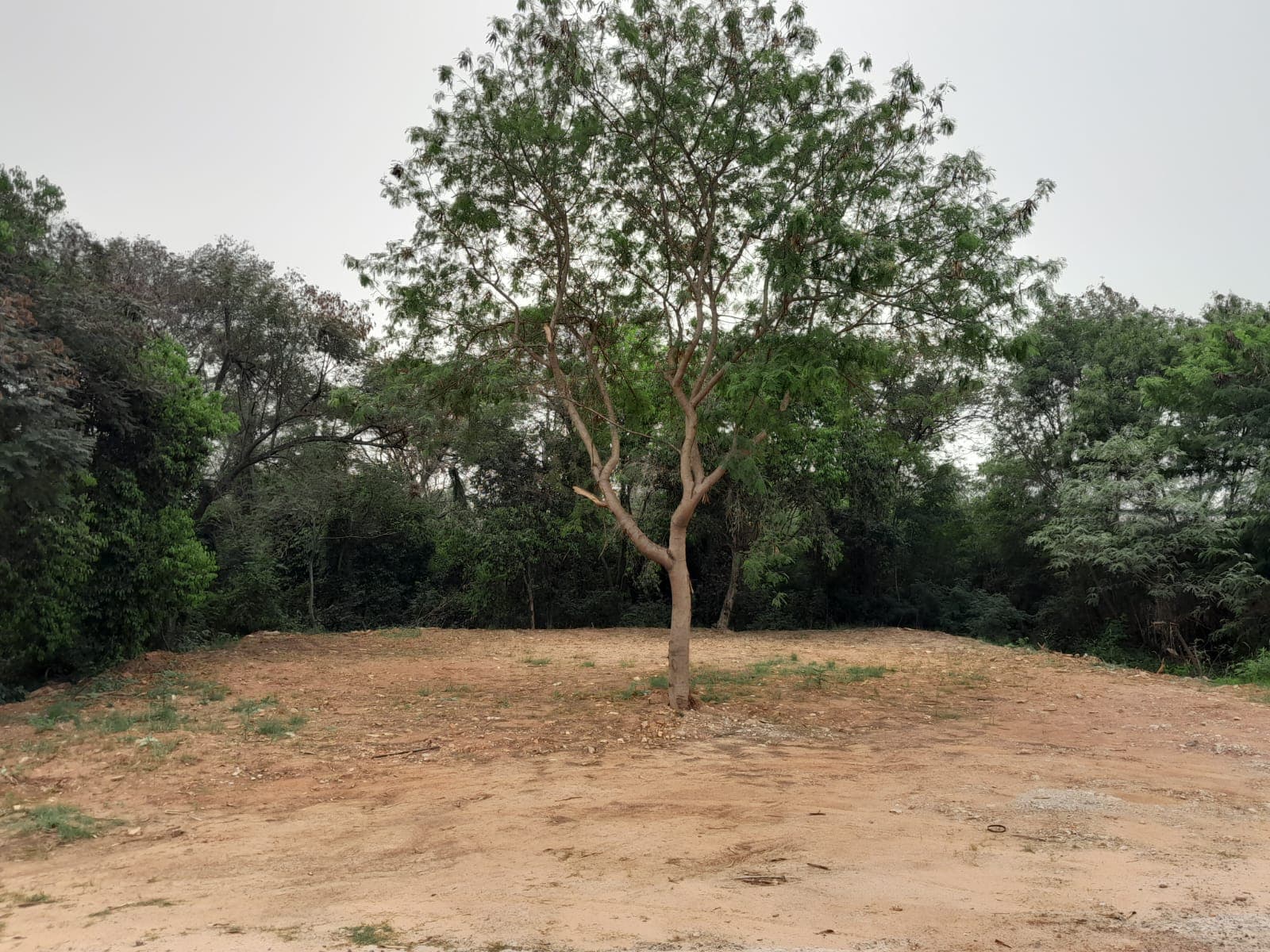 Terreno en Mariano Roque Alonso, foto 2