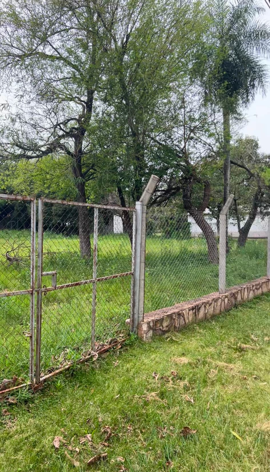 Amplío terreno sobre avenida principal en San Bernardino, foto 2