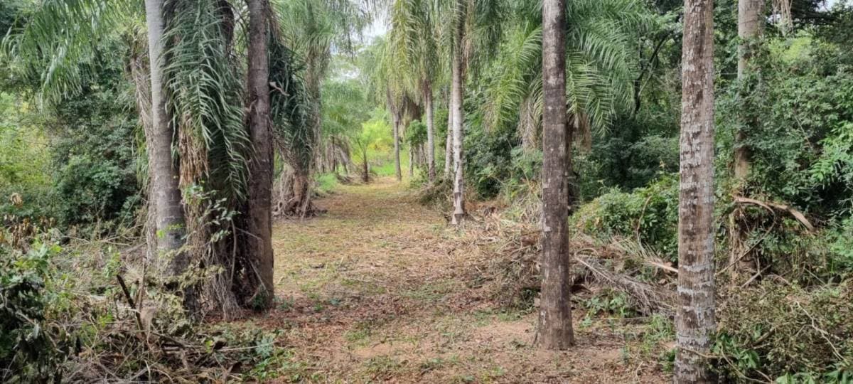 Terreno en San Bernardino ideal para desarrollo — foto 3