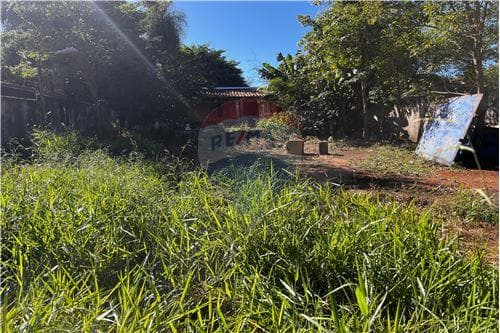 Terreno en venta, Ñemby, foto 4