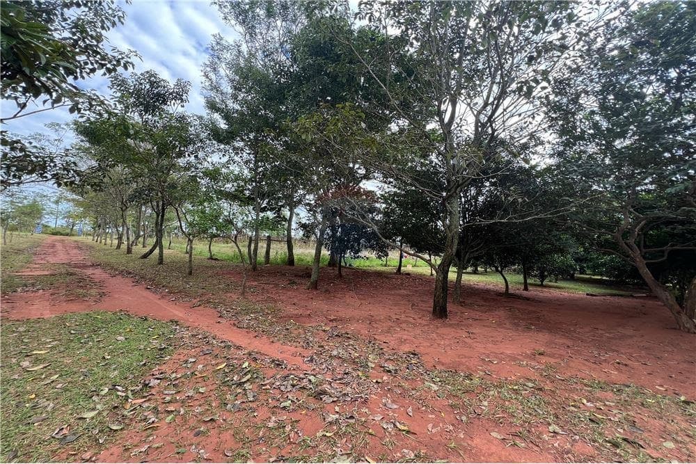 Estancia de 50 hectareas en piribebuy — foto 2