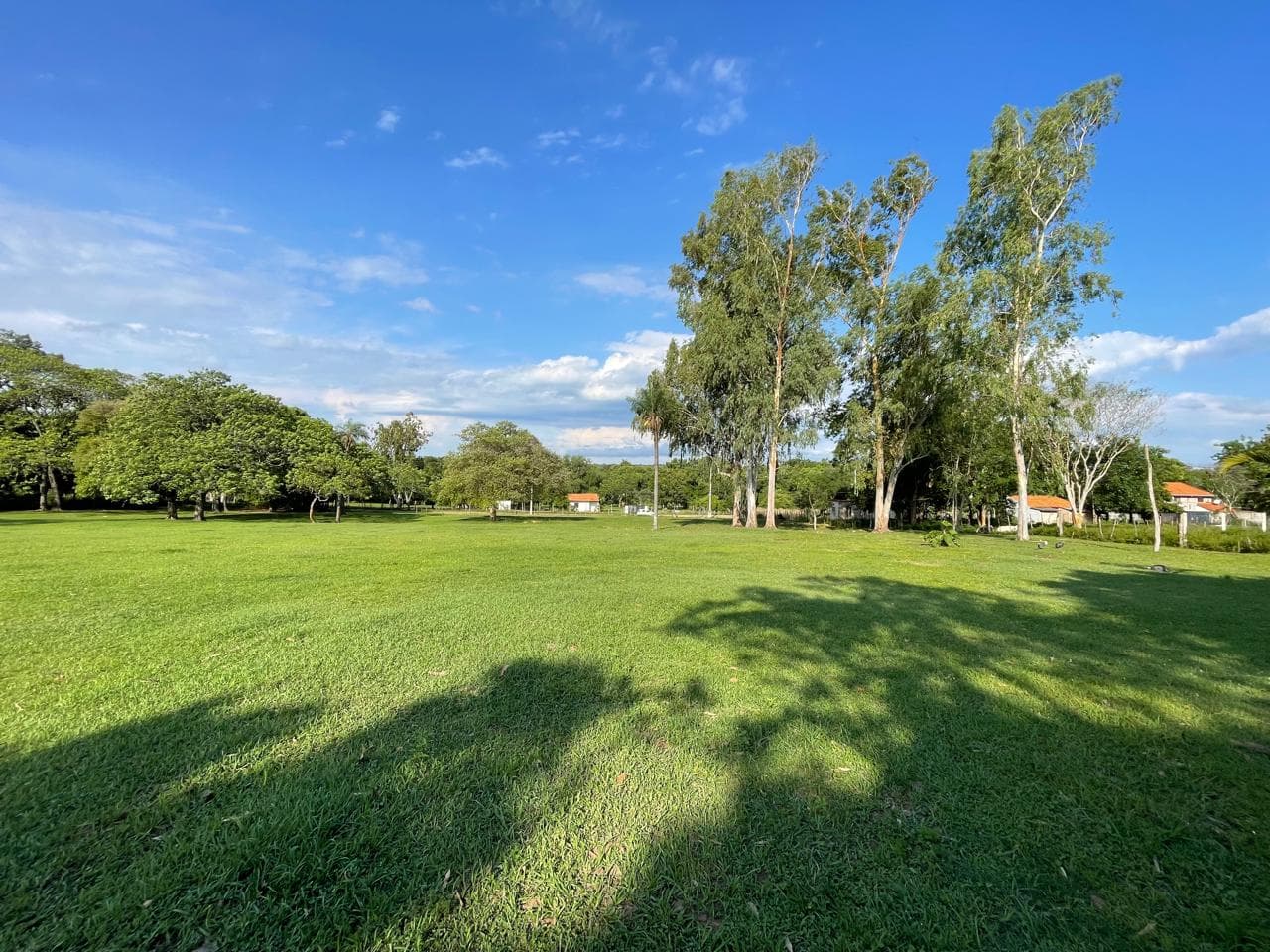 Terreno de 1.8 ha en zona aeropuerto, foto 4