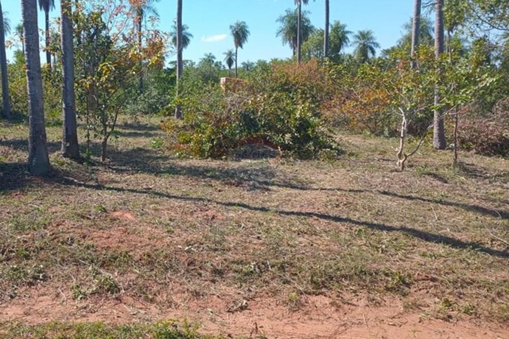 Terreno en loma grande, foto 4
