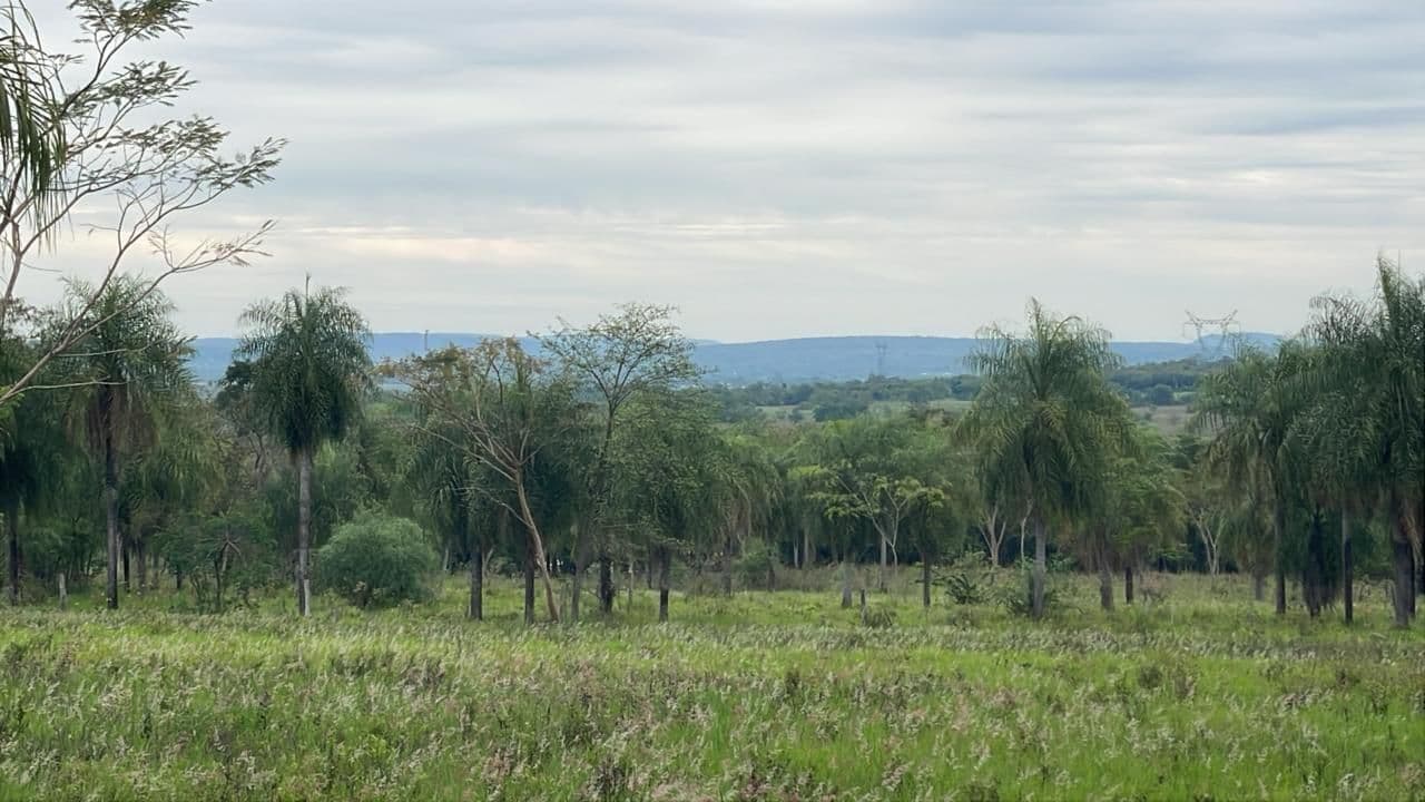 9 hectáreas en Tobati - Mompox, foto 2