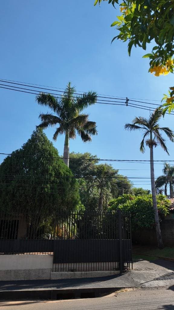 Casa quinta en venta en Laurelty, San Lorenzo, foto 3