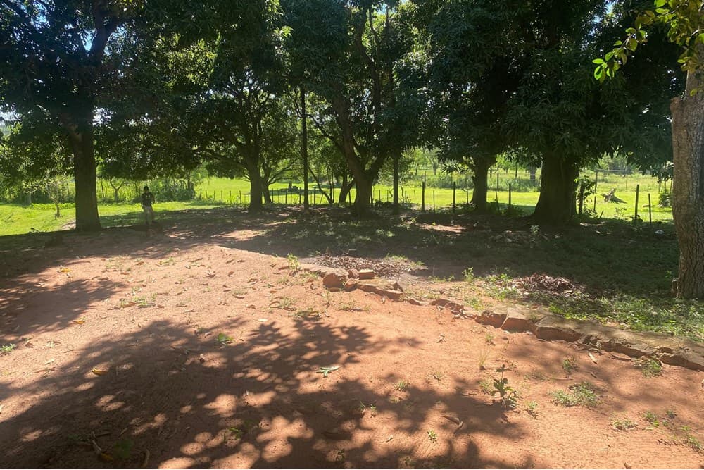 Amplio Terreno de 1.440 m² en Areguá Costa Fleitas Sobre Asfalto, foto 2
