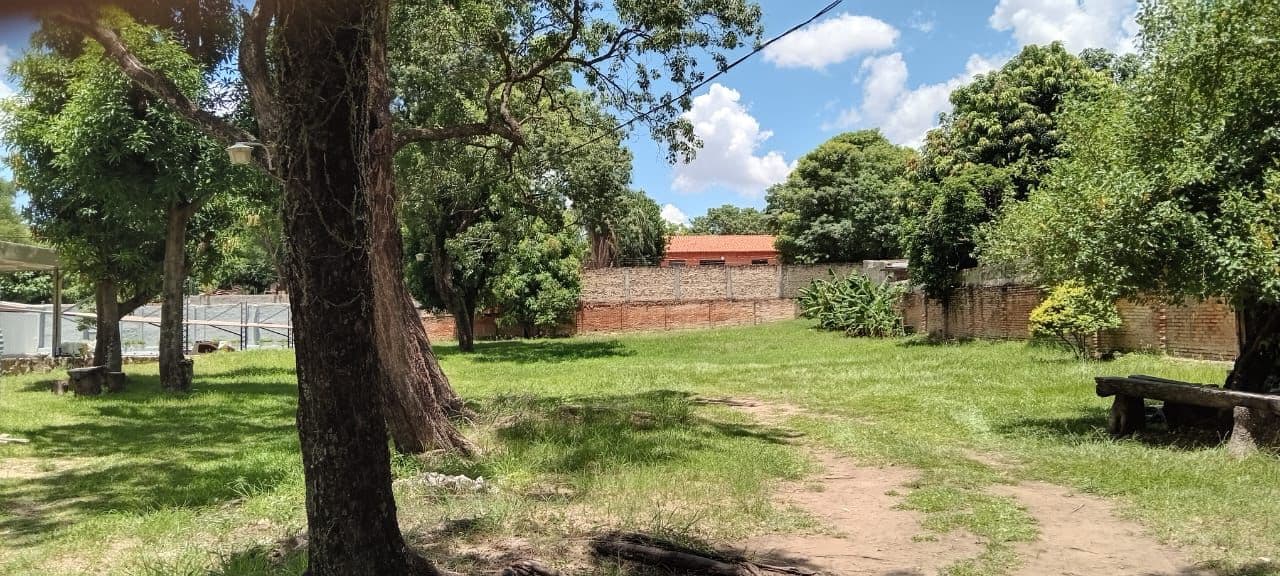 Endo espectacular terreno para desarrollo inmobiliario - zona molas lopez, foto 2
