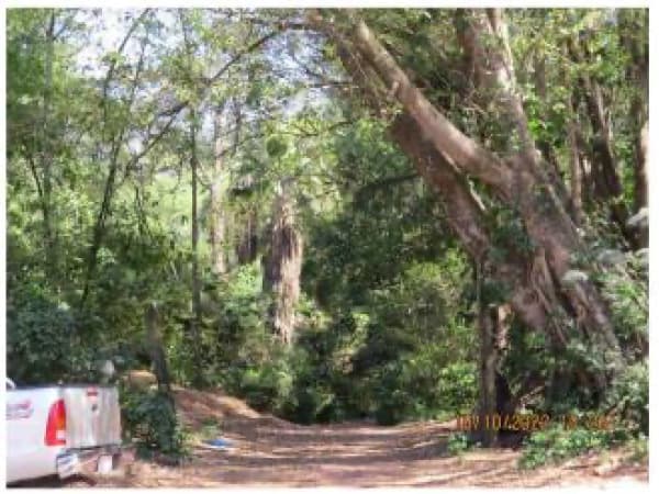 Importante terreno en Villa Elisa, foto 2