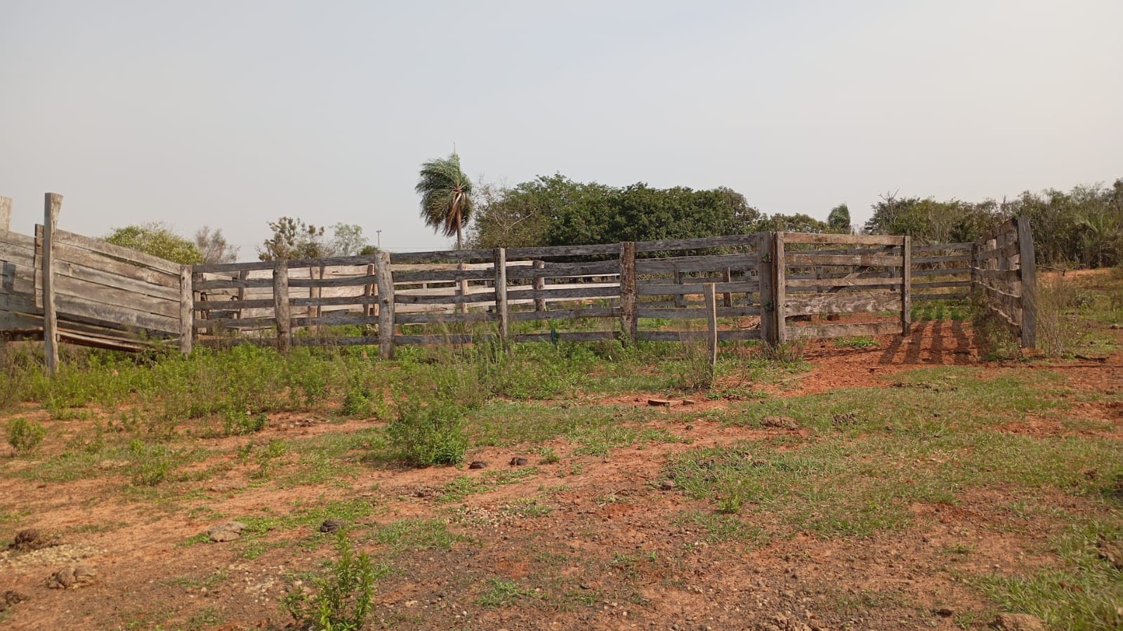 De Terreno – 195 Hectáreas – Canindeyú — foto 2