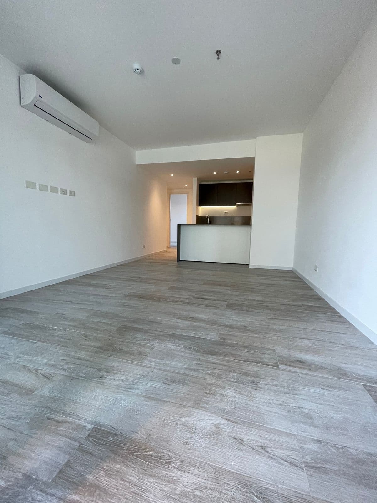 amplio dpto a estrenar de 1 dormitorio - Zona Molas López, foto 3
