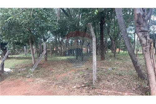 ????vendo amplio terreno en Ñemby – zona mbokajaty — foto 5