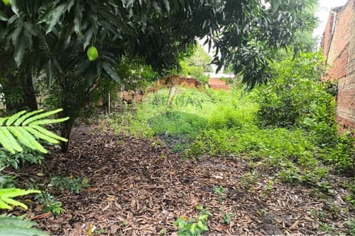 Terreno en limpio, foto 2