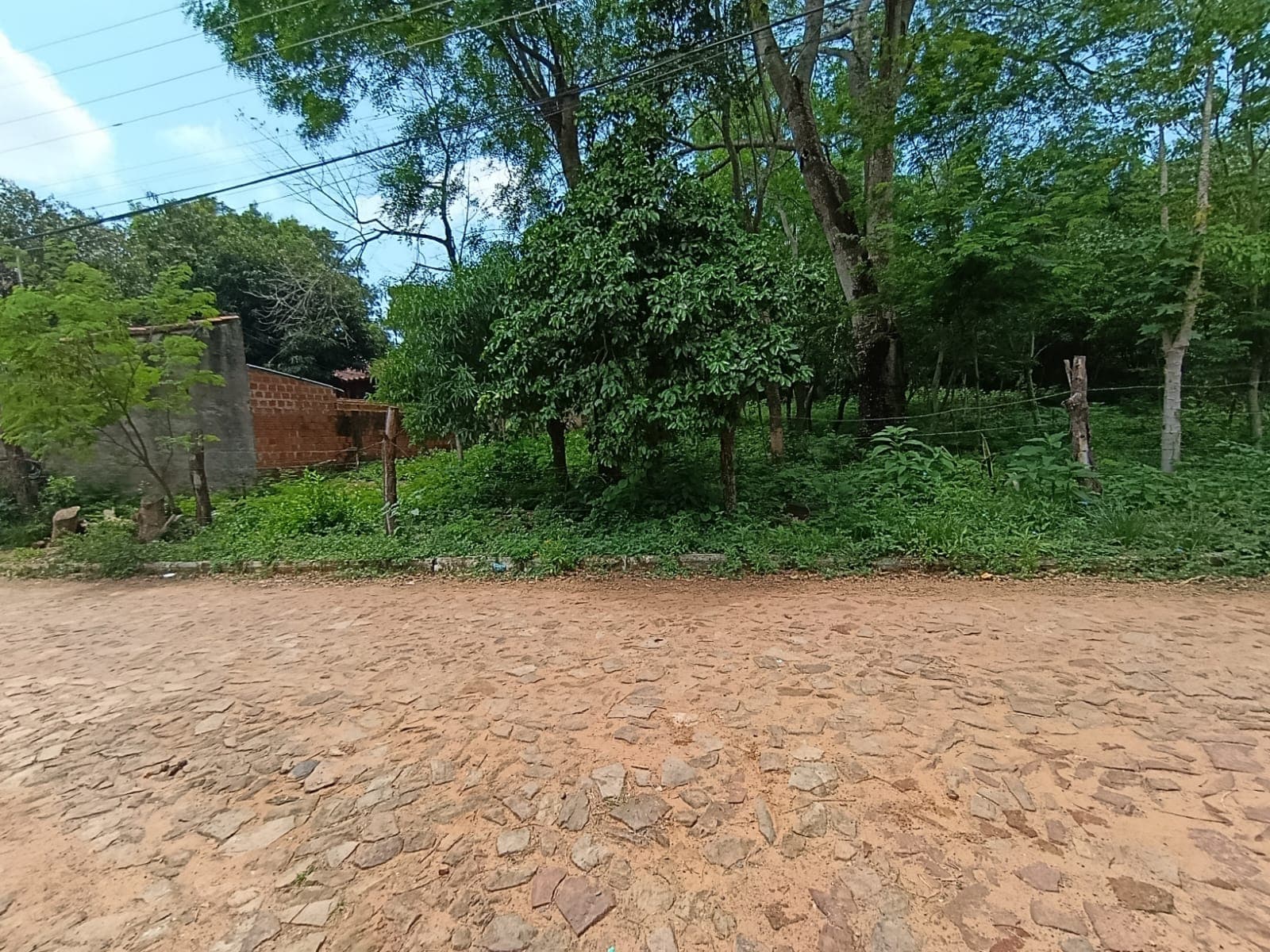 Terreno amplio en Caacupé, foto 4