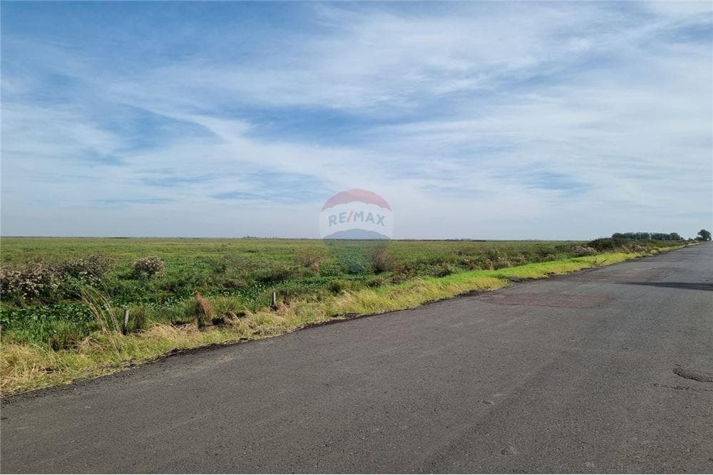 En venta campo de 540 has. En juan de mena, foto 2