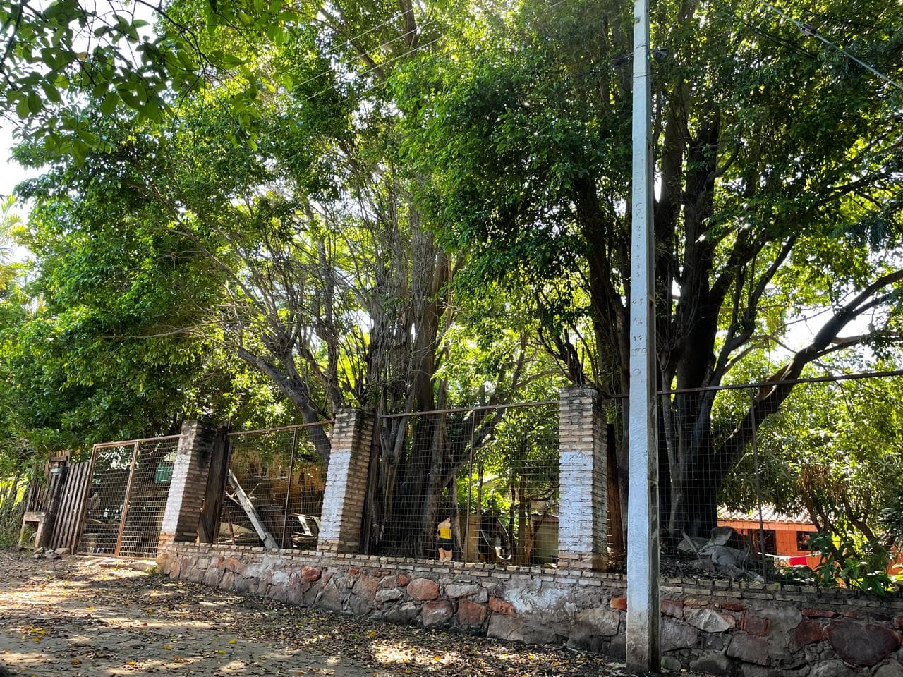 terreno en el corazón de zeballos_Asunción, foto 2
