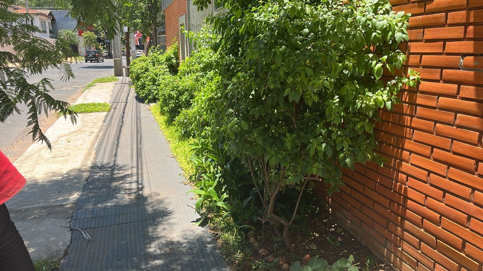 Amplia Casa Con Buen Estacionamiento . Ideal Para Local Comercial — foto 3