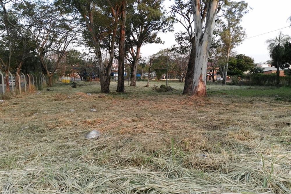 Terreno - Venta - Fernando de la Mora, Paraguay, foto 4