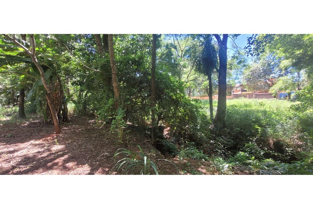 Terreno-Venta-29 de Setiembre y Jacaranda, San Antonio, Central, foto 4