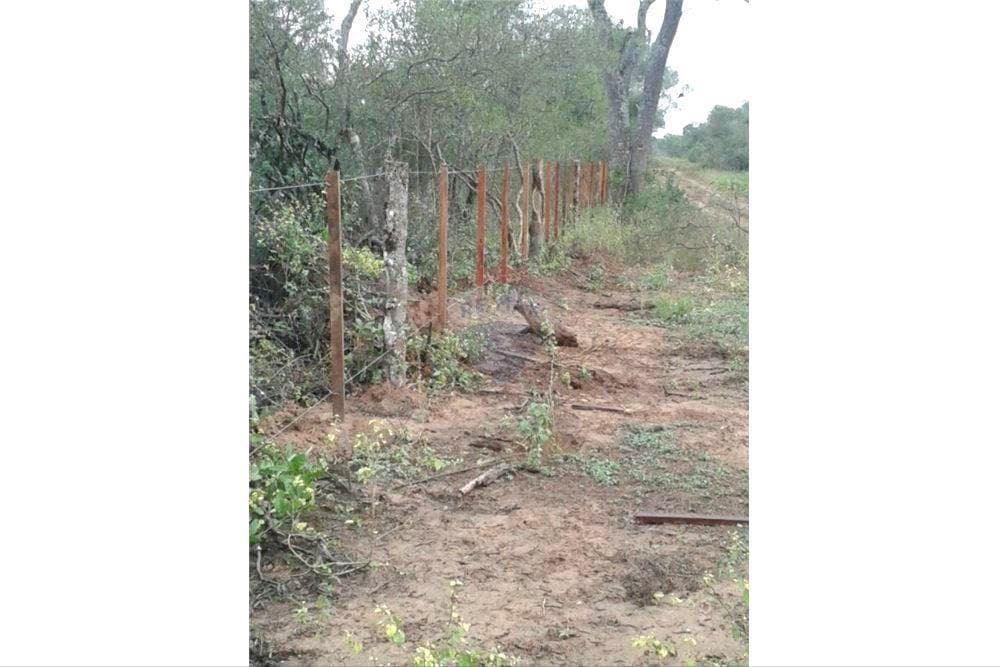 Terreno de 7.425 Hectáreas en Pozo Hondo, Boquerón — foto 4