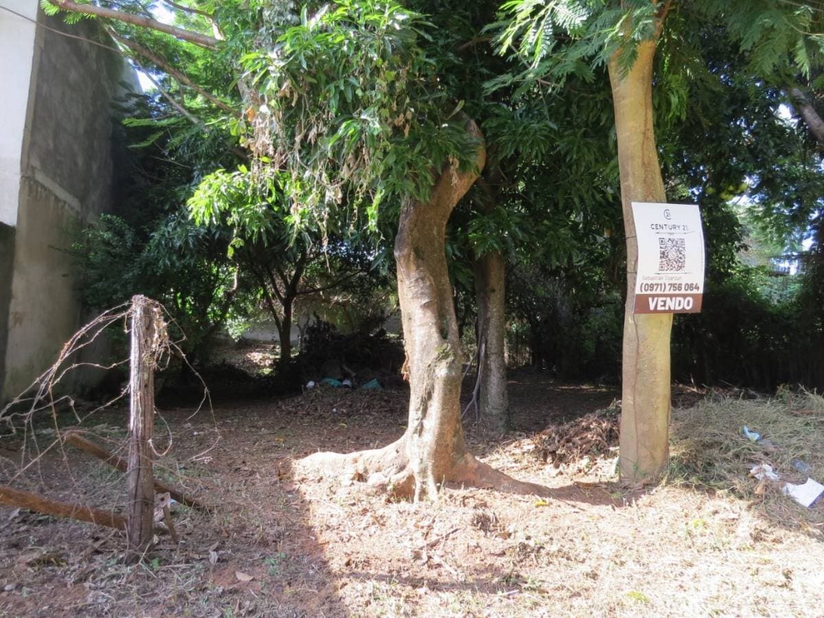 Terreno en Barrio Cerrado La Floresta – Oportunidad única en Luque, foto 3