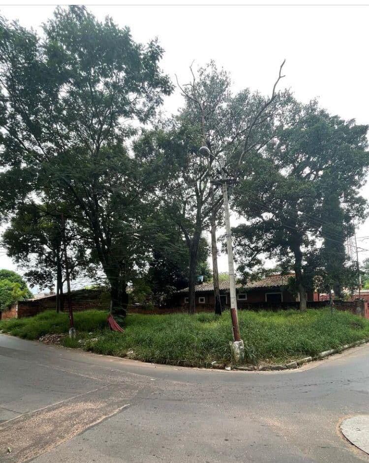 Terreno fdo de la mora zona sur, foto 1
