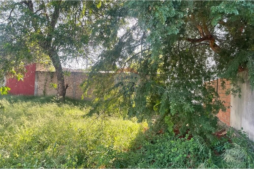 Terreno Premium en Villa Elisa, foto 4