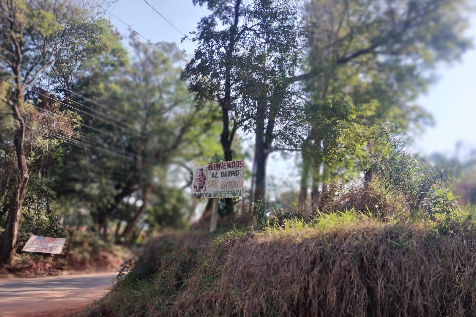 Terreno, foto 2