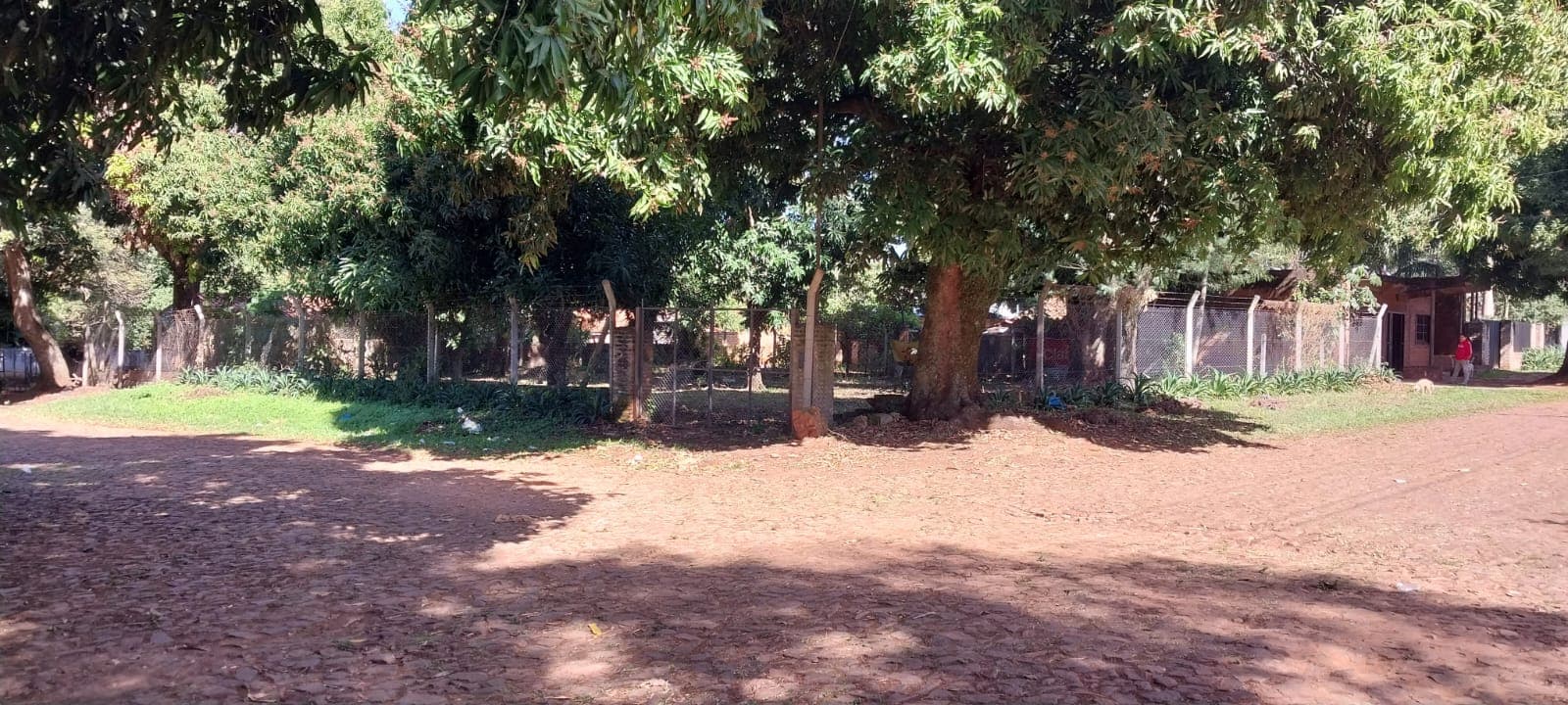 De terreno en Luque, foto 2