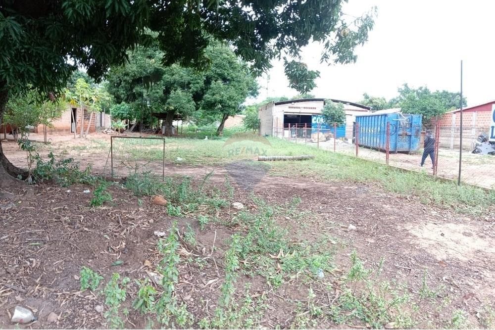 En Venta Terreno Luque — foto 2