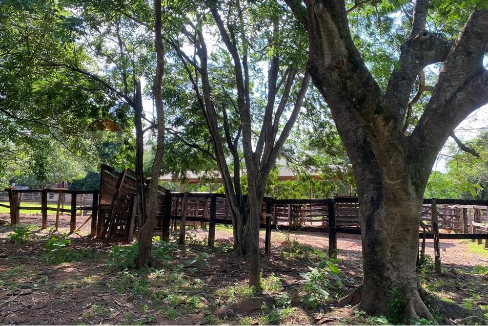 Estancia en caaguazu coronel oviedo, foto 3