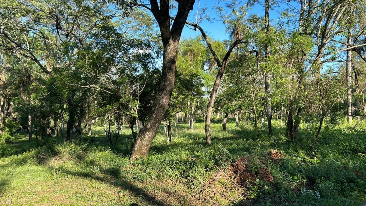 Terreno en San Bernardino 360 m2, foto 1