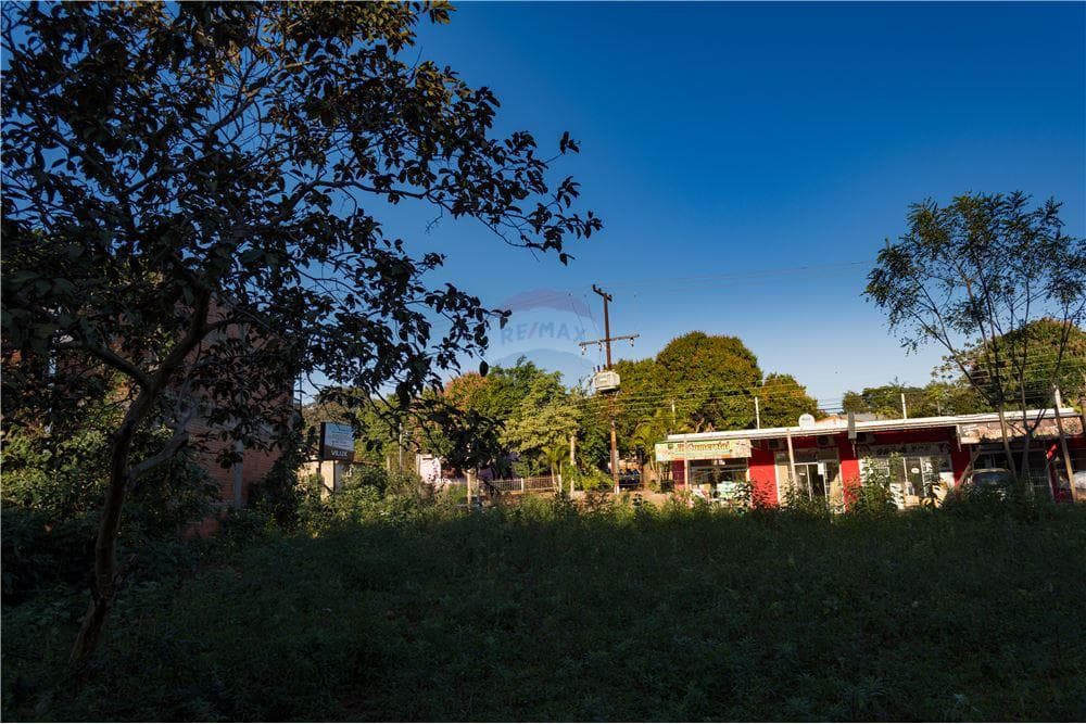 3 hectareas en capiata rojas cañada, foto 1
