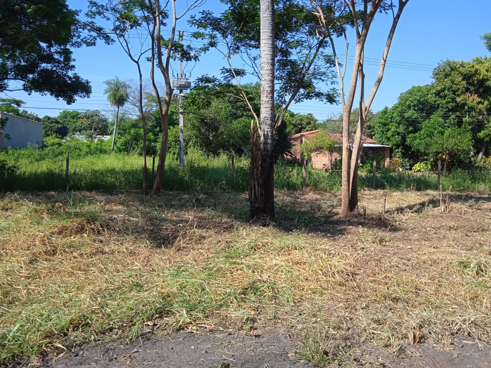 Terreno - ypane, foto 3