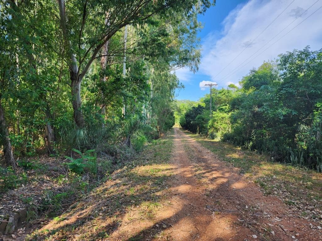 Terreno de 8 Hectáreas en San Bernardino, con Vistas al Lago - CLLA6844485, foto 3
