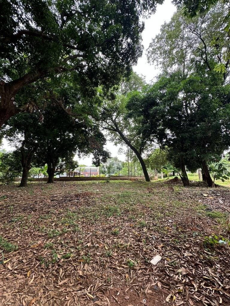 Terreno en Ñemby, foto 3