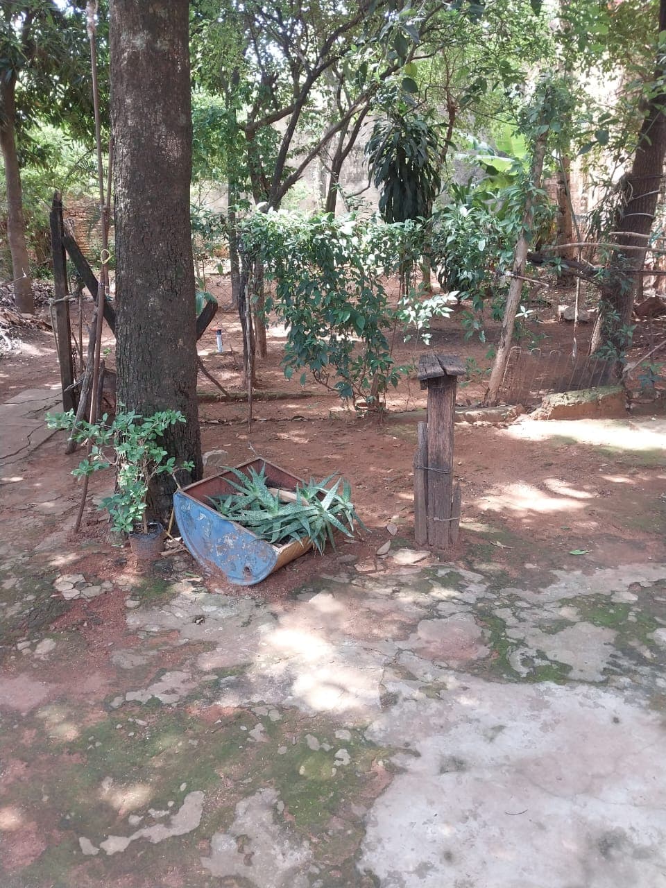 ¡oportunidad! Terreno en venta en Luque – zona molino, foto 2