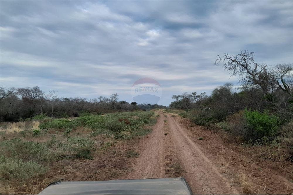 Campo en mariscal estigarribia 4.000 hectareas, foto 3