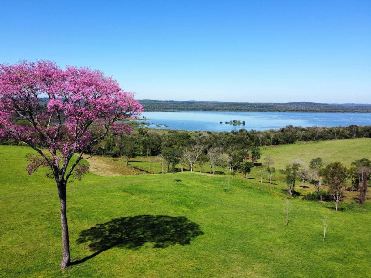 Terreno En Venta Con Espectacular Vista Al Río Paraná En Bella Vista, foto 1