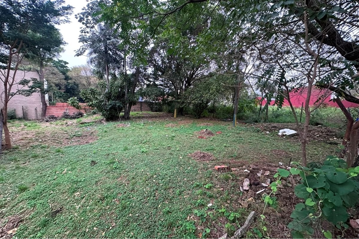 Vendo Terreno En Lambare