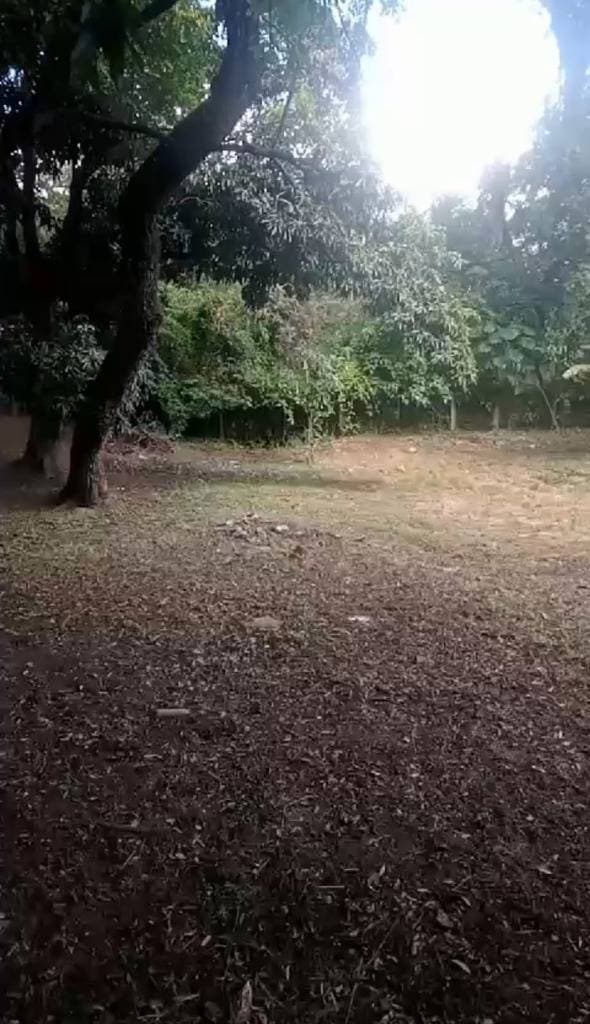 Aregua centro, propiedad de 1 ha, foto 5